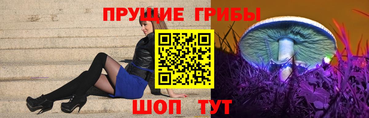 Магнитогорск  Псилоцибиновые грибы MAGIC MUSHROOMS  Вход с VPN 